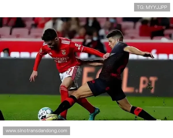 皇马备战本菲卡欧冠战全力冲刺