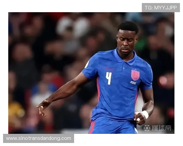 科特迪瓦主帅法埃:球队人才库潜力无限 科特迪瓦主帅法埃:球队人才库潜力无限